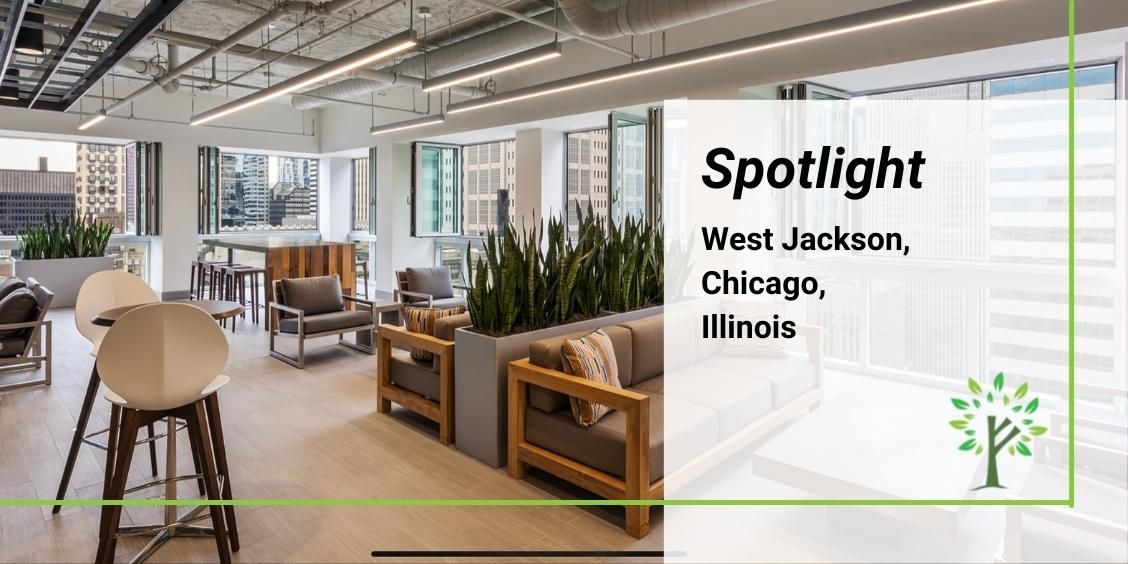 Spotlight - WestJackson-Chicago-Illinois